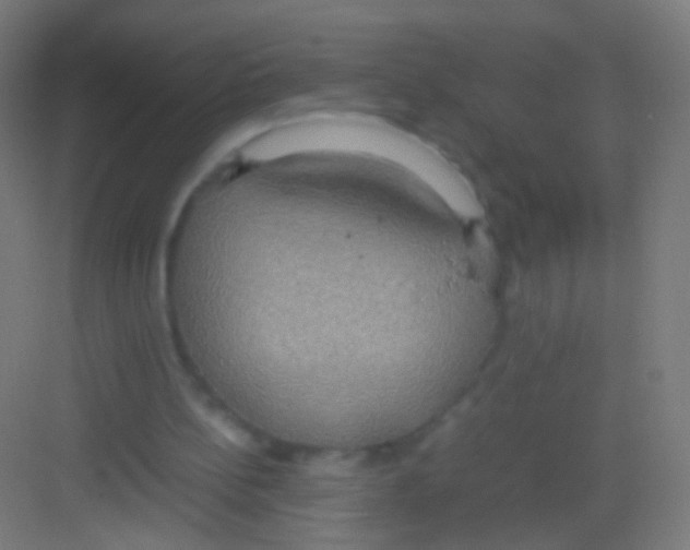 X0000081370148200702082355