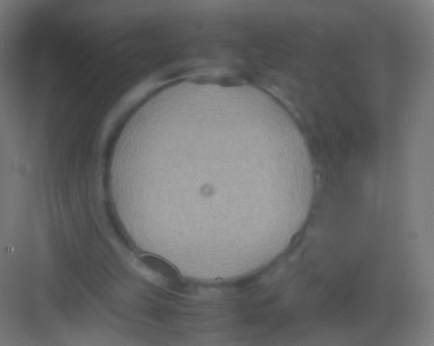 X0000081370149200702082355