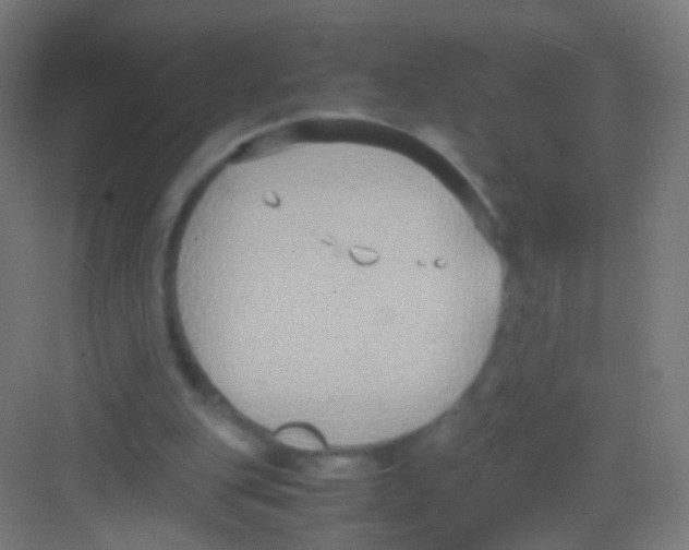 X0000081370151200702082355