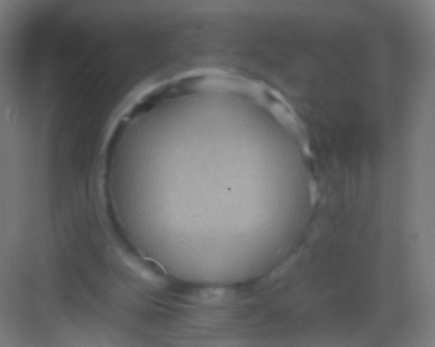 X0000081370152200702082355