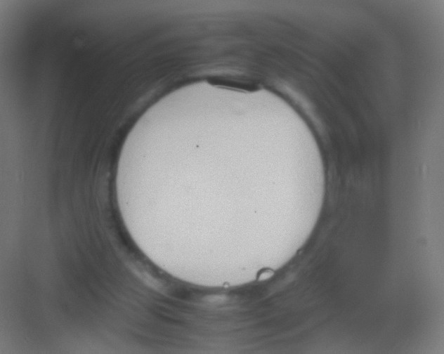 X0000081370153200702082355