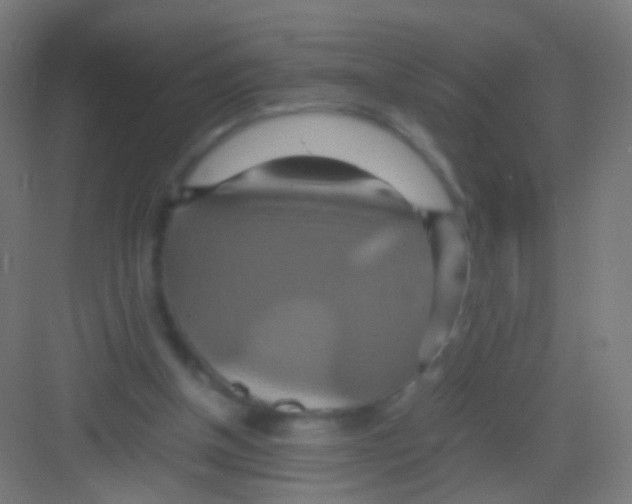 X0000081370154200702082355