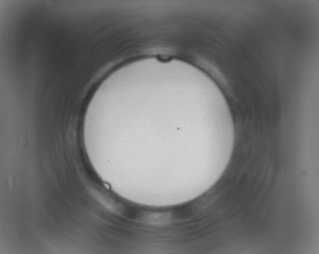 X0000081370155200702082355