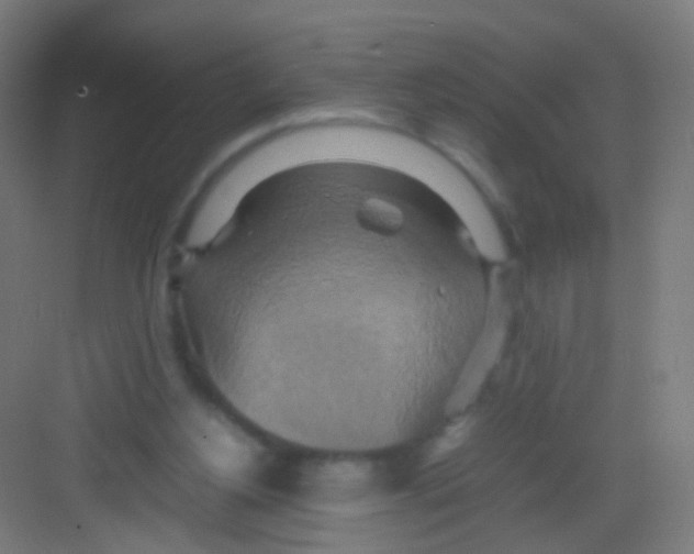 X0000081370156200702082355