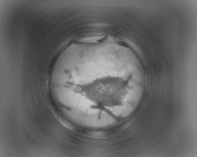 X0000081370157200702082355