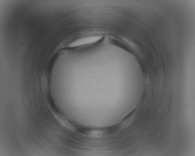 X0000081370158200702082355