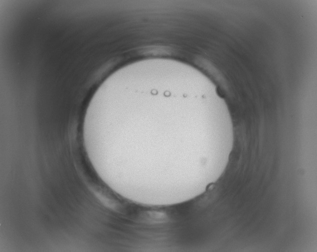 X0000081370159200702082355