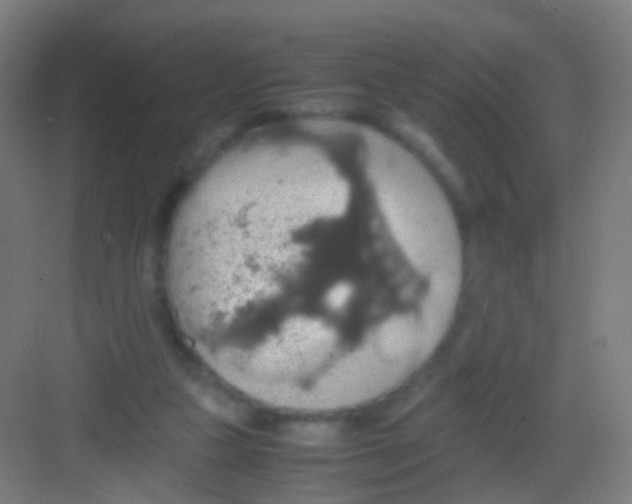 X0000081370161200702082355