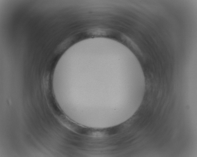 X0000081370163200702082355