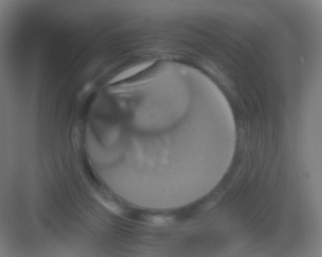 X0000081370165200702082355