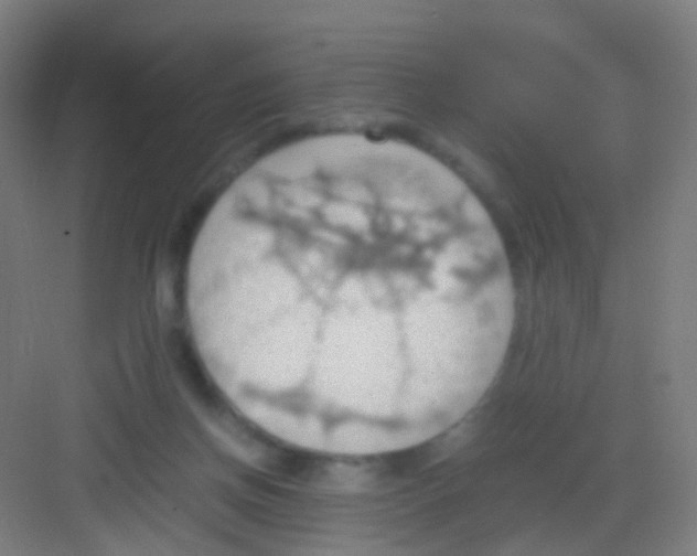 X0000081370166200702082355