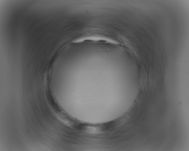 X0000081370167200702082355