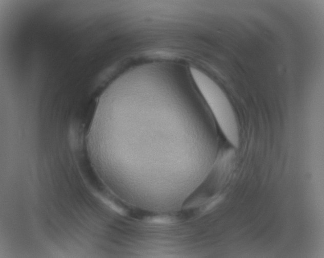 X0000081370168200702082355