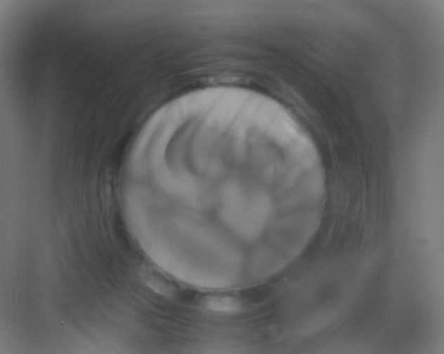 X0000081370169200702082355