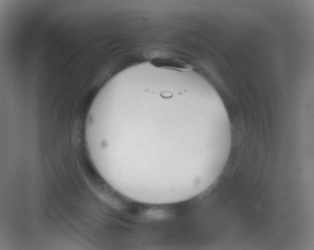 X0000081370171200702082355