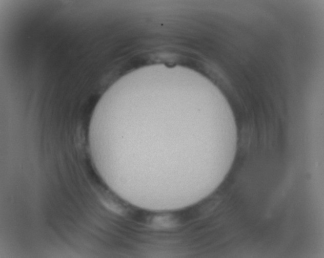 X0000081370173200702082355