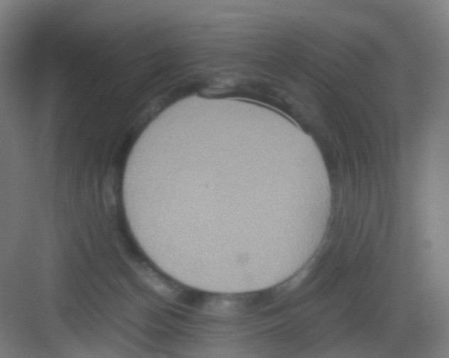 X0000081370174200702082355