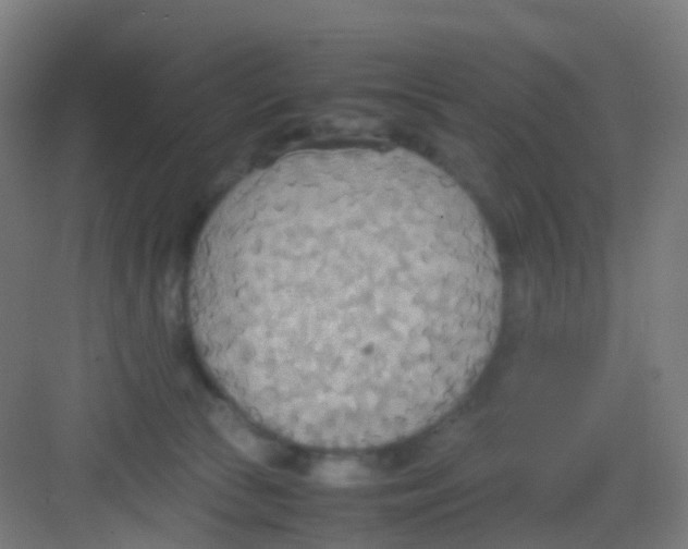 X0000081370177200702082355