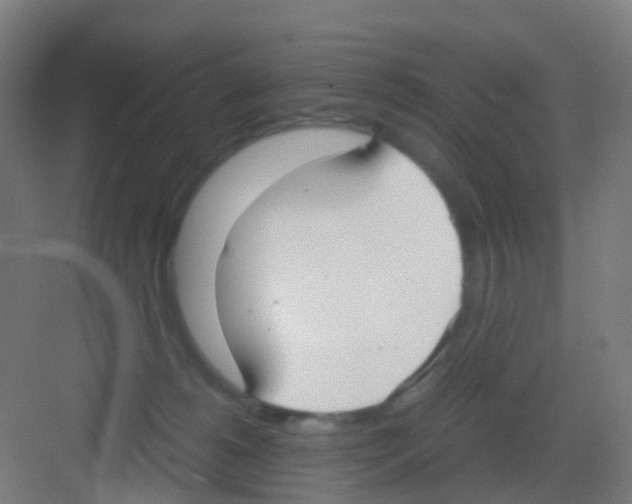 X0000081370180200702082355