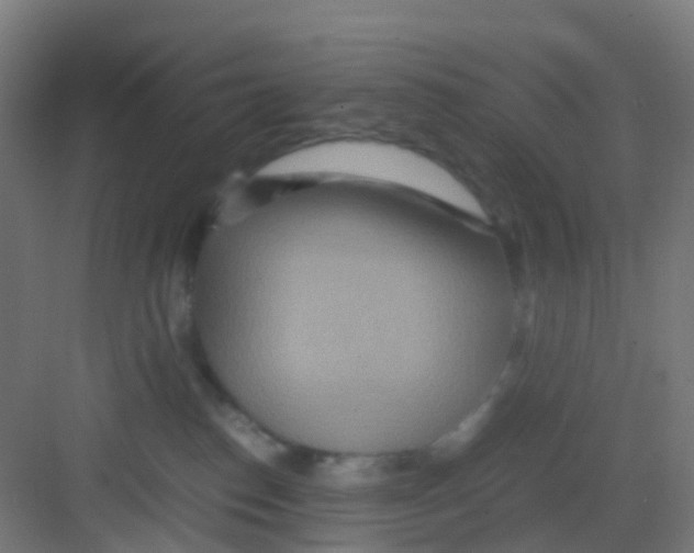 X0000081370186200702082356