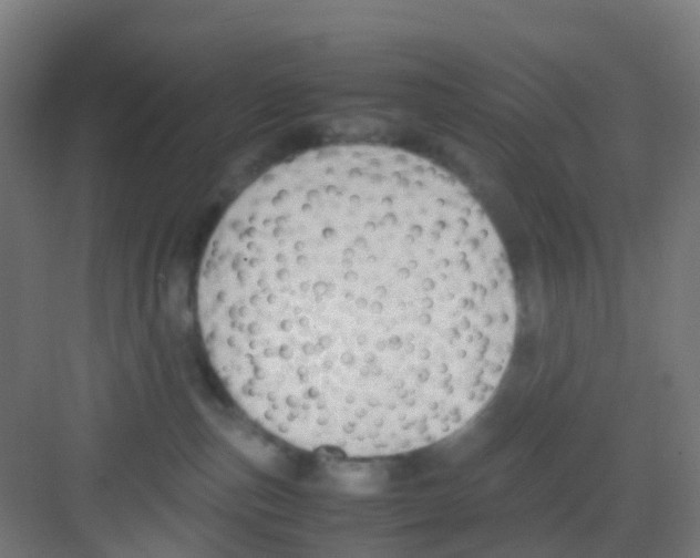 X0000081370187200702082356