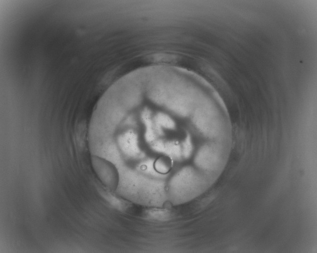 X0000081370189200702082356