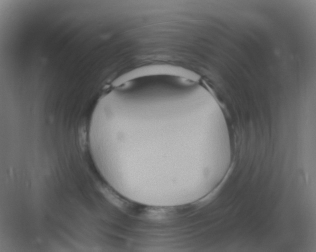 X0000081370190200702082356