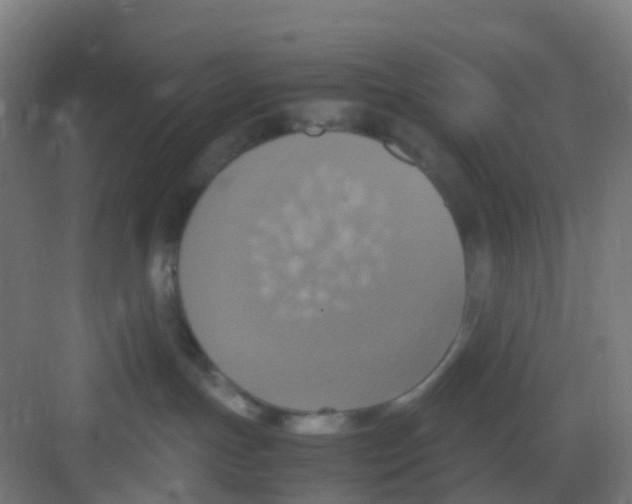 X0000081370191200702082356