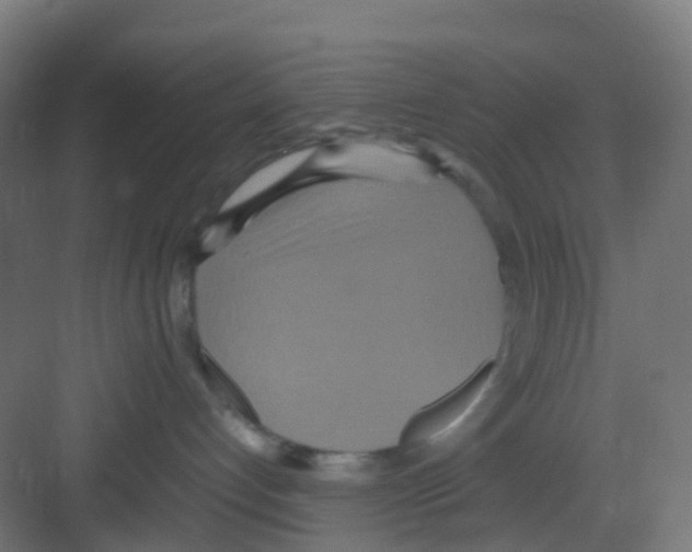 X0000081370192200702082356