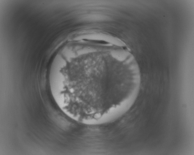 X0000081370194200702082355