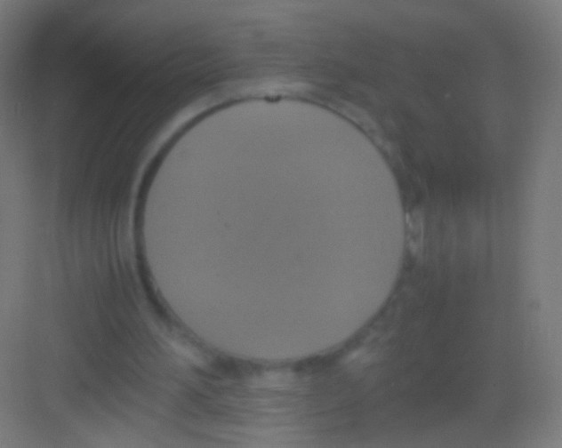 X0000081370196200702082355