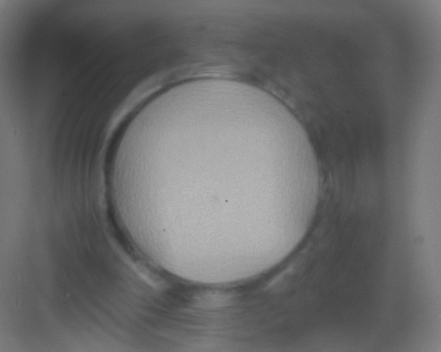 X0000081370198200702082355