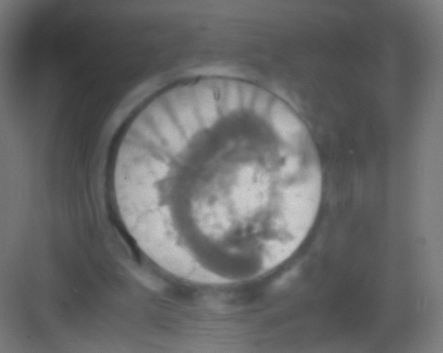 X0000081370199200702082355