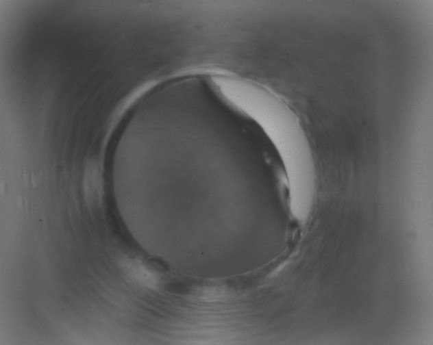 X0000081370200200702082355