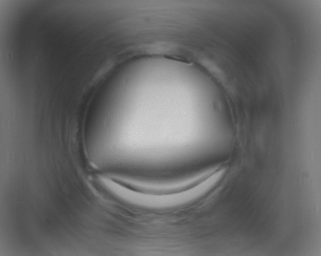 X0000081370201200702082355