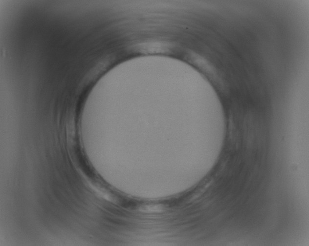 X0000081370202200702082355