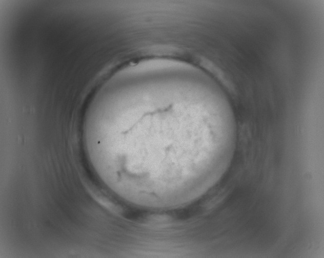 X0000081370203200702082355