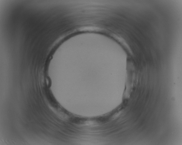 X0000081370204200702082355