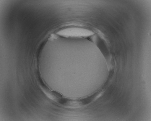 X0000081370205200702082355