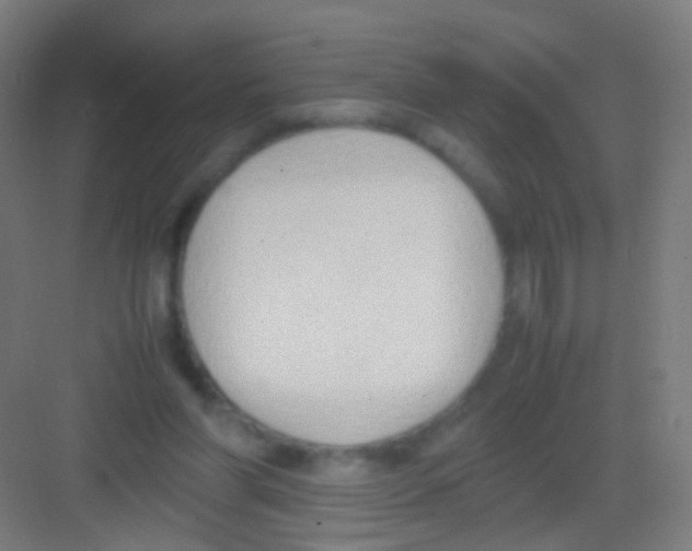 X0000081370206200702082355