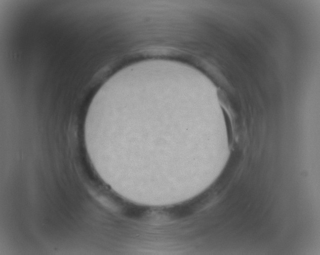 X0000081370207200702082355