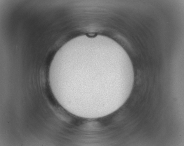 X0000081370210200702082355