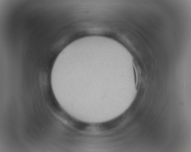 X0000081370211200702082354