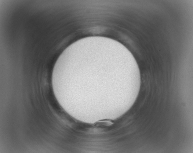 X0000081370212200702082354