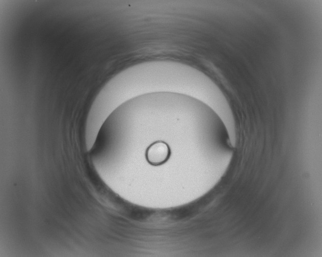 X0000081370213200702082354