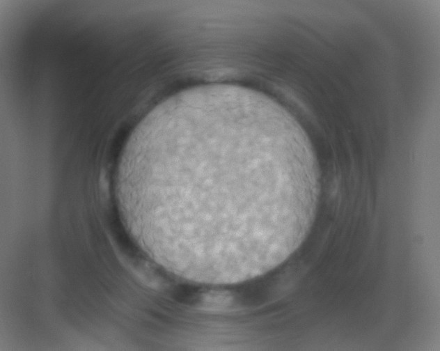 X0000081370214200702082354