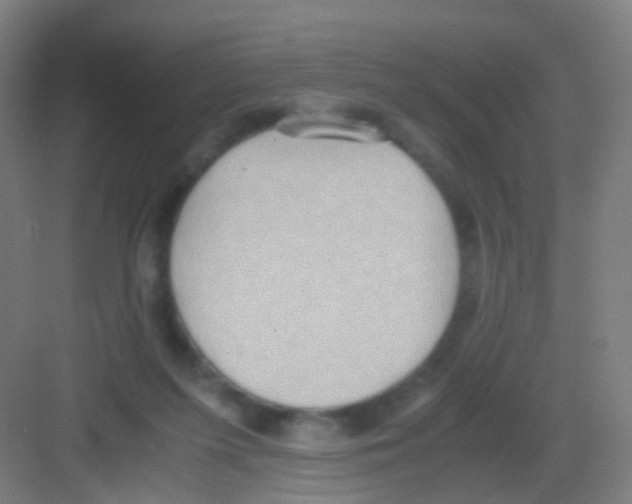 X0000081370215200702082354