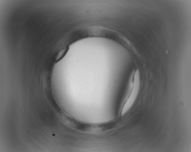 X0000081370217200702082354