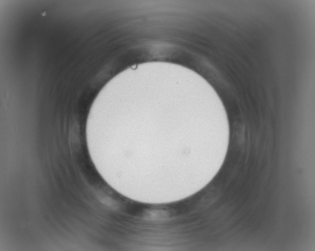 X0000081370220200702082354