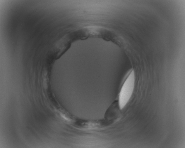 X0000081370223200702082354